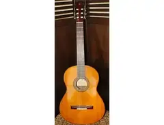 Yamaha G-231