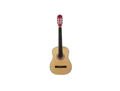 Austin Guitars 946S Acoustic Guitar main image