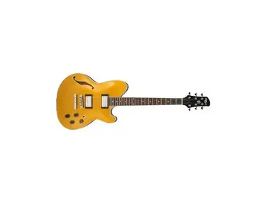 Ibanez TM71