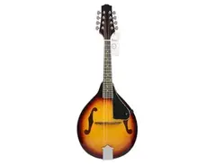 Infinity Irin Mandolin main image