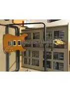 Amaranth 24 Fret JAM-1