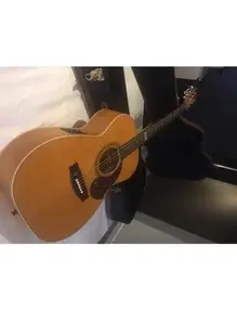 Maton EBG808 TE