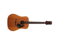 Epiphone FT-140 main image