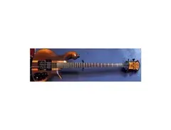 Carl Thompson 4-String Fretted Walnut