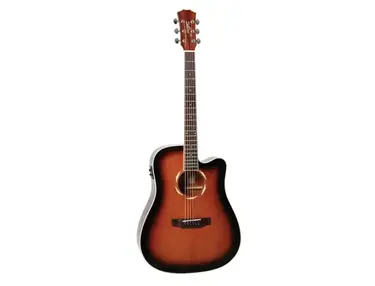 Morgan Guitars (Norway) W 120 S CE