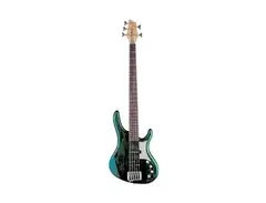 Washburn RB2502 main image