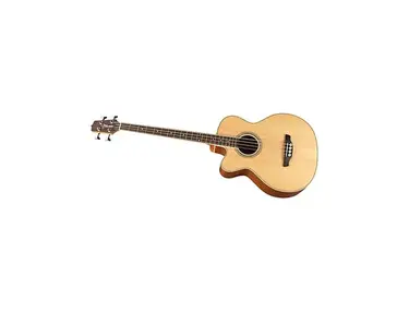 Takamine EGB2S Left Handed Acoustic Bass