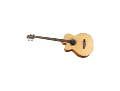 Takamine EGB2S Left Handed Acoustic Bass main image