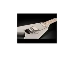 Framus Custom Shop Wolf Hoffmann main image