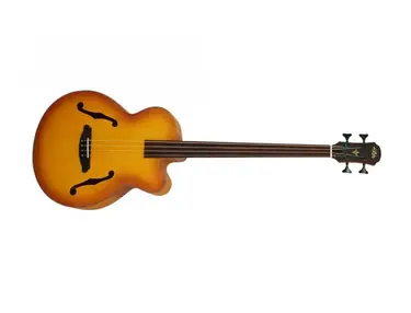 Aria HB17 Fretless Acoustic Bass
