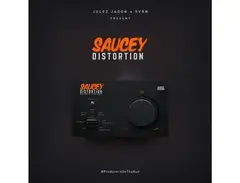 Saucy Distortion main image