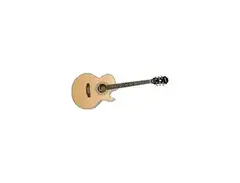 Epiphone PR-5E Acoustic/Electric - Natural main image