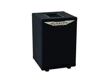 Ashdown Engineering RM-110 Bass Cabinet