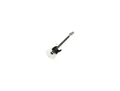 Squier Jim Root Signature Telecaster main image