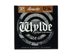 Dunlop Zakk Wylde Icon Acoustic Light main image