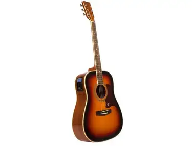 Lindo Guitars Zebra Electro Acoustic