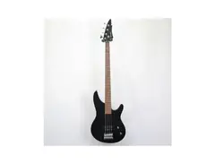 Laguna LB224 Electric Bass main image