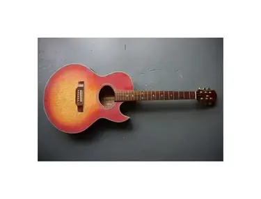 Epiphone PR7E Acoustic