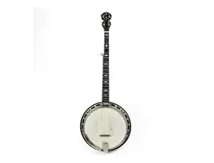 Gibson Mastertone main image
