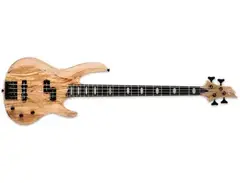 ESP RB-1005SM main image