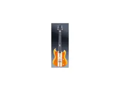 Framus Phil XG main image