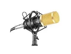 Neewer NW 800 Professional Studio Microphone