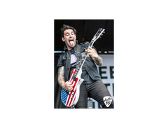 LTD American Flag main image