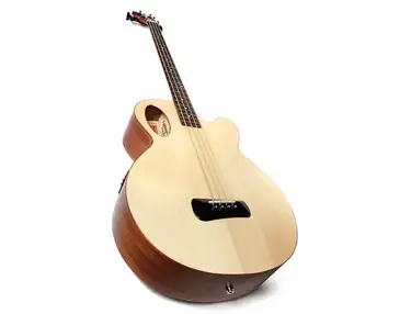 Spector Timbre Acoustic Bass