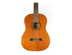 Hondo H320 main image