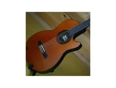 Morris Guitar Morris nylon Chet Atkins model