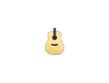 Breedlove Discovery Acoustic