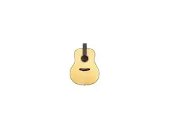 Breedlove Discovery Acoustic main image