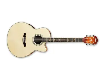 Ibanez AEL-40 Electro Acoustic Guitar