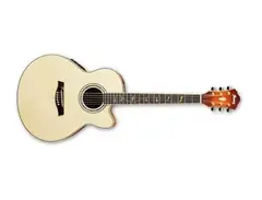 Ibanez AEL-40 Electro Acoustic Guitar