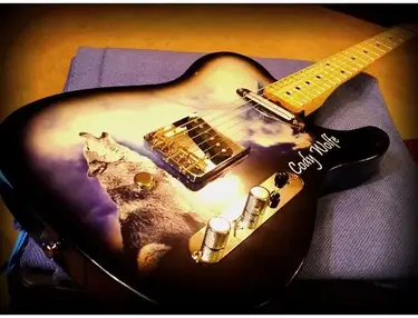Forrest Custom Guitar (Custom Telecaster)