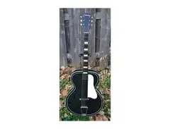 Silvertone Vintage 658 1960's Hollowbody Archtop