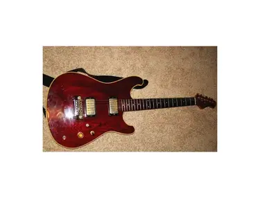 Palmer Guitars Guitar