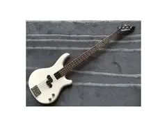 Washburn B-2 main image
