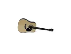 Washburn Lyon Acoustic Guitar