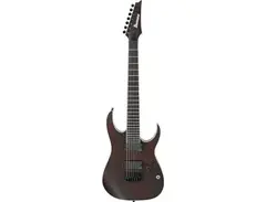 Ibanez Iron Label RGIR27BE