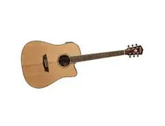 Washburn WD12SCE