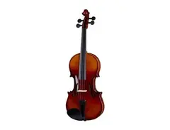 Stagg VN Acoustic Violin (4/4) main image