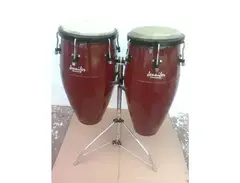 Jennifer Percussion Congas