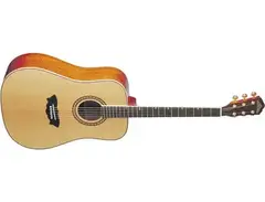 Washburn WD32S main image