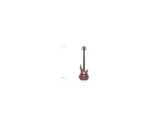 Ibanez SDGR 1005 main image