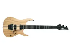 Ibanez RGT220A