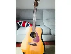 Fender FG 280
