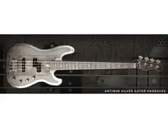 James Trussart Steelcaster Bass
