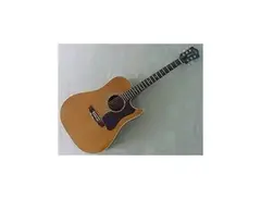 Guild D-40C Singlecut Acoustic main image