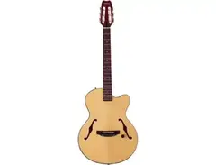 Yamaha AEX500N-2 main image